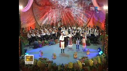 Alin Trocan - Mai, Gheorghita, cand te-nsori (Festivalul Strugurele de aur - Jidvei 2016)