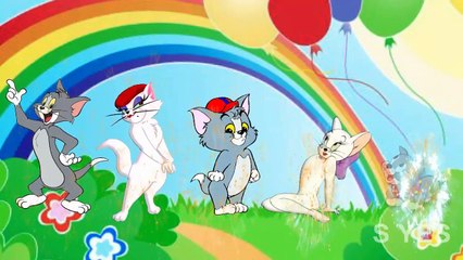 Tom Finger Family Nursery Rhymes | 3D Animated Animal Finger Family Nursery Rhymes For Kids