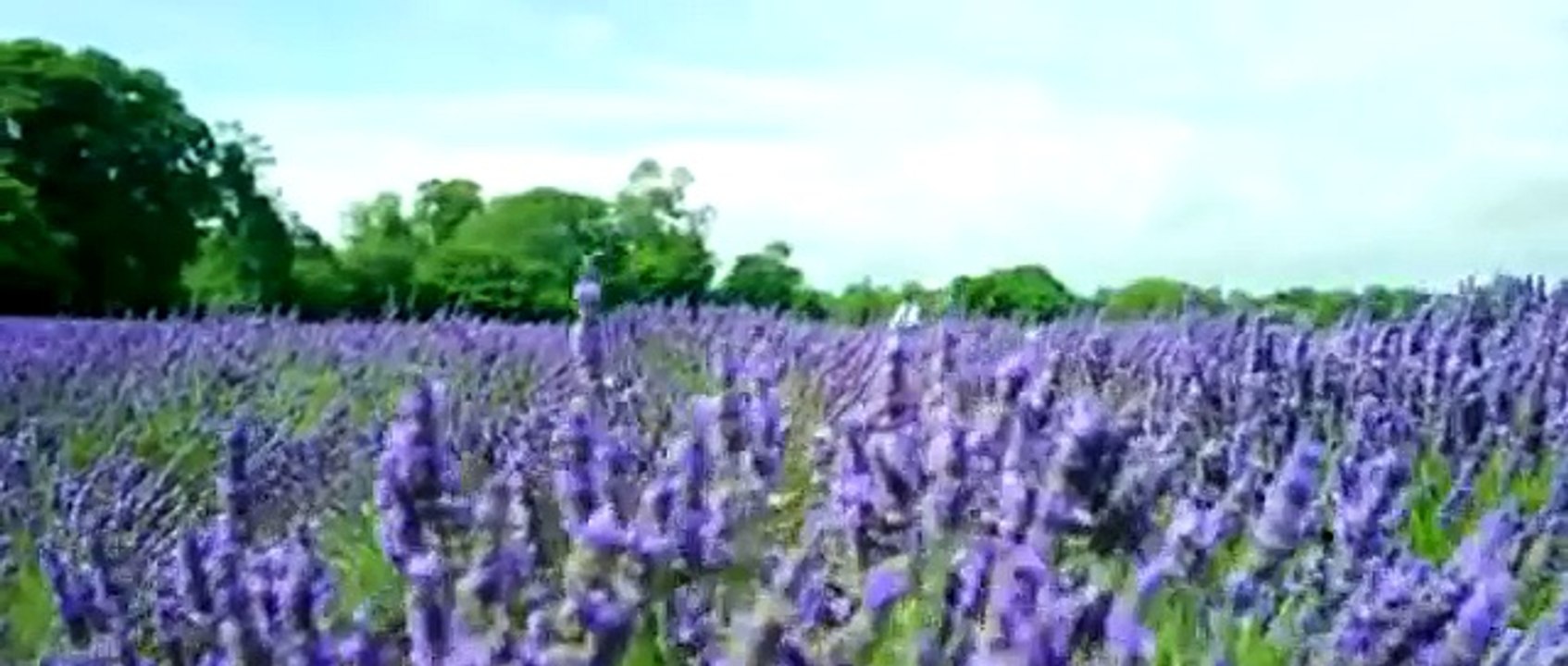 Bol do Na Zara Full Official Video Song - Azhar- Emran Hashmi