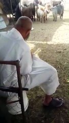 تسجيل حضور وغياب