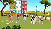 Dog Cartoon Finger Family Nursery Rhymes For Children | Cat Cartoon Finger Family Rhymes