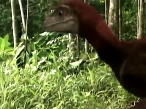 DISCOVERY CHANNEL - A VOLTA DOS DINOSSAUROS