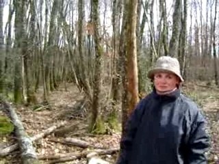 Un p'tit tour au bois