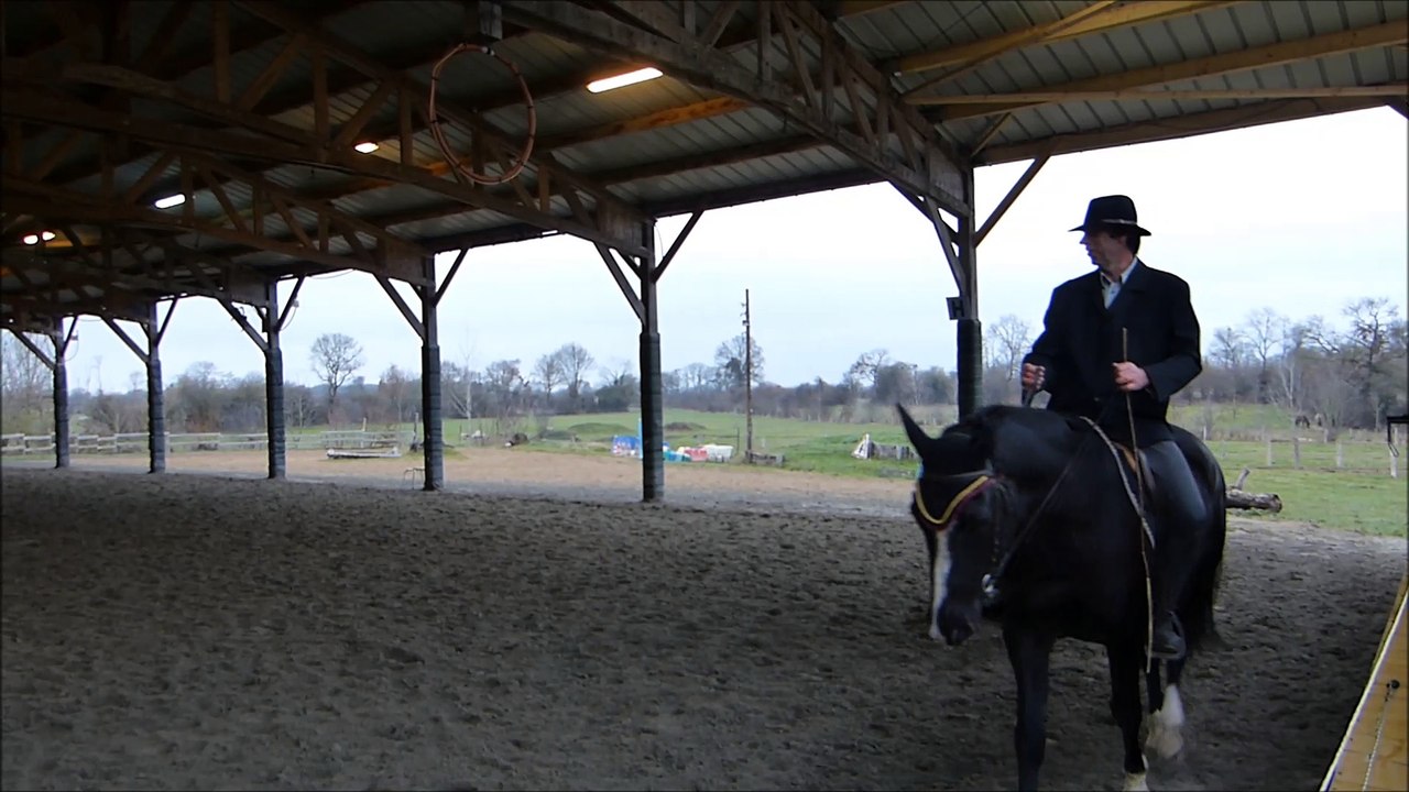 Pas de deux 20 dec 2016