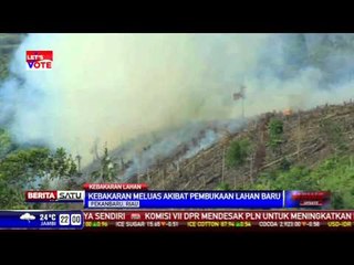 Pembukaan Lahan Membuat Kebakaran Meluas