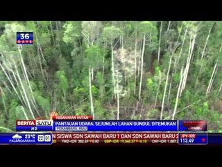 Polda Riau Bekuk Puluhan Pelaku Pembakaran Lahan