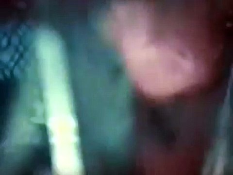 ДДТ - Ты не один