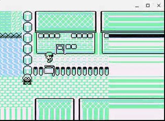 Team rocket X2 and Fly | Pokemon red randomizer W/ Salty