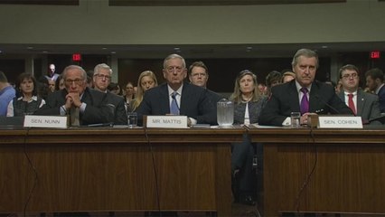Audizioni Usa: gli uomini di Trump (per il Pentagono e la Cia) criticano la Russia