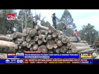 Polisi Menduga Pejabat Terlibat Pembalakan Hutan di Simalungun
