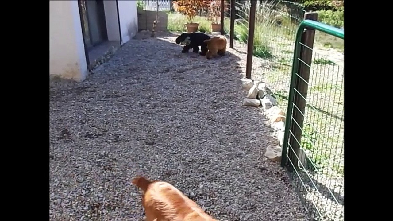 19.10.2016. petits moments de jeux.1 music