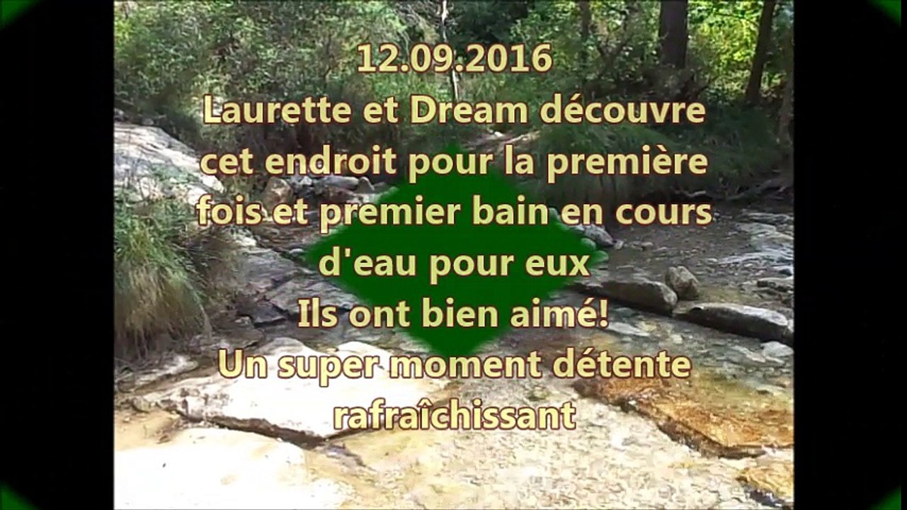 12.09. Le Caramy avec Laurette et Dream