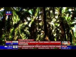 Uni Eropa Tolak Produk CPO Indonesia