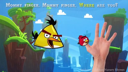 Angry Birds Finger Family Nursery Rhymes Songs | Angry Birds Learning Colors for Children