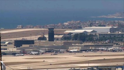 طيور النورس تهدد الملاحة بمطار بيروت