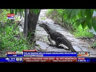 Pulau Biawak di Indramayu