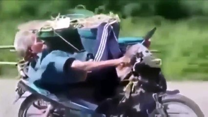 Лучшие приколы_ Подборка приколов за апрель_ # 1_ Приколы