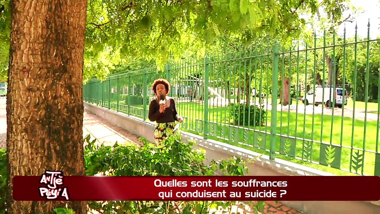 ATPA 16 01 17 SOUFFRANCES CONDUISENT SUICIDE LOUIS JEHEL OK