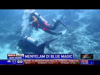 Blue Magic Lokasi Menyelam Terbaik di Raja Ampat
