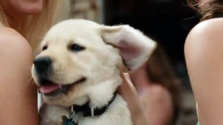 Marley & Me - The Puppy Years-cOIOTyUW894