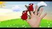 PEPPA PIG MAKEUP EPISODES FUNNY STORY - FINGER FAMILY NURSERY RHYMES LIRYCS AND MORE