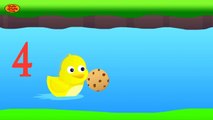 Learn Numbers 1-10 Duck & Cookies Videos for Kids Toddlers & Children to Learn Numbers Counting DDC