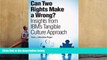 Download Can Two Rights Make a Wrong?: Insights from IBM s Tangible Culture Approach For Ipad