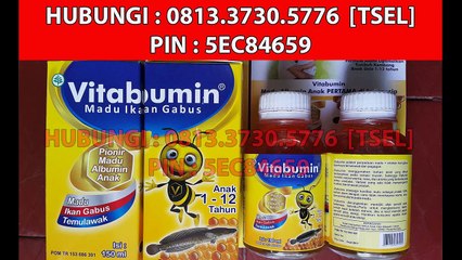 0813.3730.5776 (tsel) Madu Vitabumin