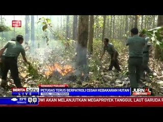 Musim Kemarau, Titik Api Muncul di Hutan Jati Balapulang
