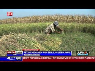 Kekeringan di Sejumlah Daerah di Tanah Air