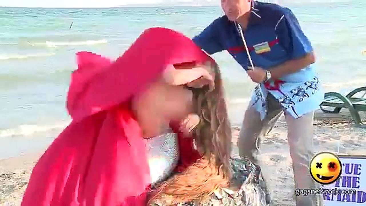 funny vidéo hd 2017