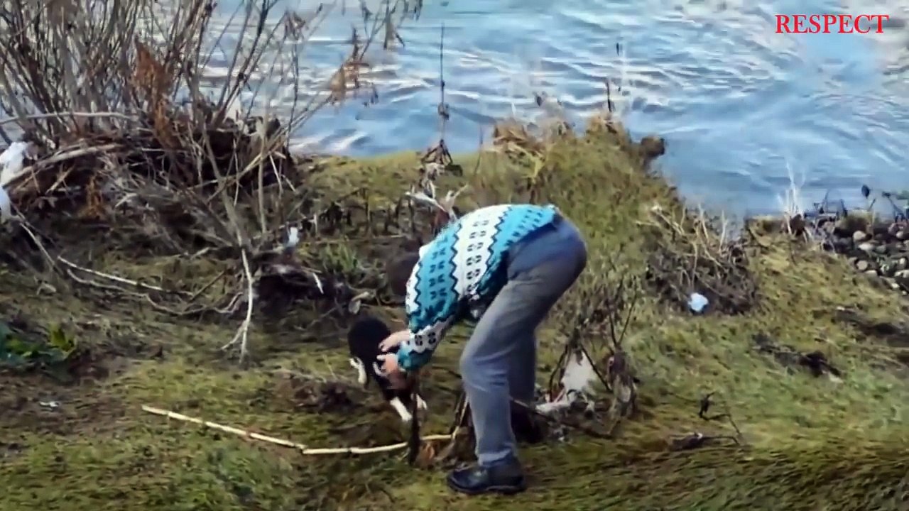 REAL LIFE HEROES  2016  Saving Animals Life  RESPECT