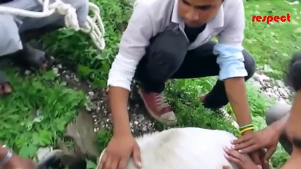 REAL LIFE HEROES  2016  Try To Watch This Without Crying  RESPECT