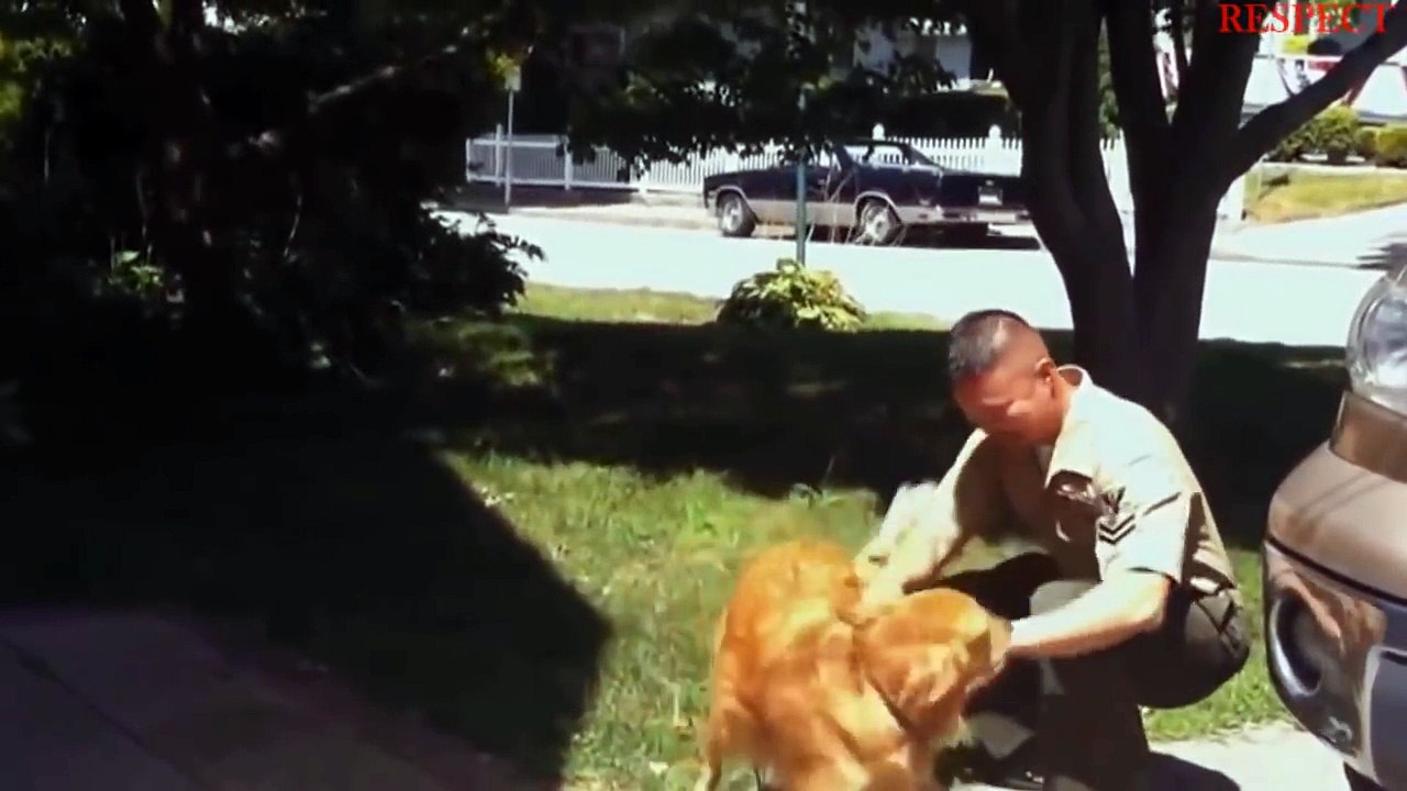 SOLDIERS COMING HOME 2016  Dogs Welcoming Soldiers  RESPECT