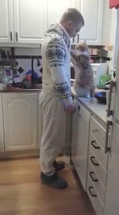 Aller fais moi un calin avant de partir... Adorable le chat