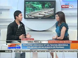 News to Go - Crocodile Talk with Virgil Pedo Jr.