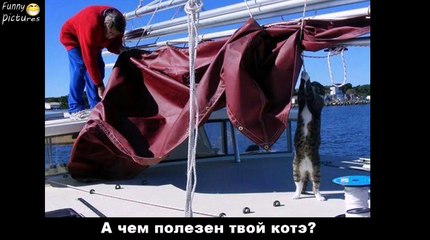 Приколы Лучшие ПРИКОЛЫ