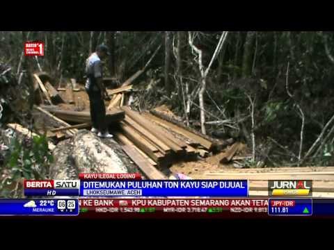 Polres Lhokseumawe Sita Puluhan Ton Kayu Pembalakan Liar