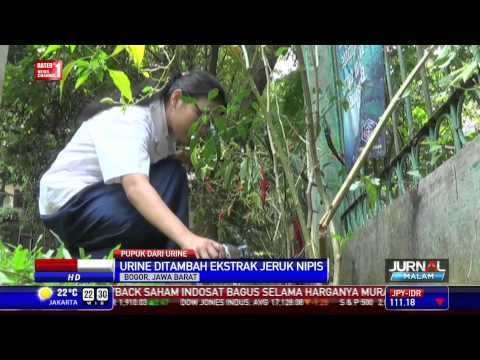 Siswa SMP di Bogor Ciptakan Pupuk dari Urine