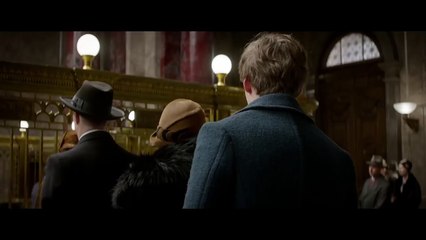 Fantastic Beasts and Where to Find Them Official Teaser Trailer #1 (2016) - Movie HD