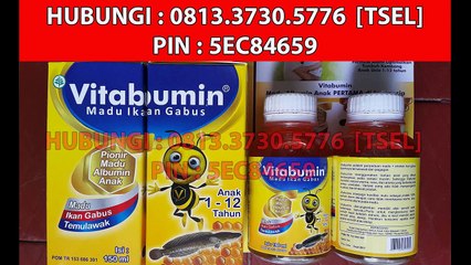 0813.3730.5776 (tsel) Agen Vitabumin