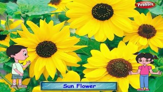 Top 30 Flower Rhymes For Kids   Flower Rhymes Collection   Most Popular Flower Nursery Rhy