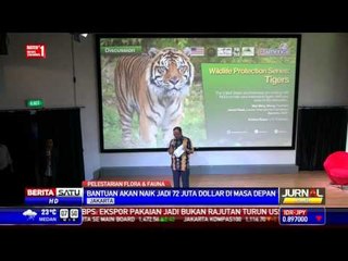 AS Bantu Pelestarian Hutan dan Harimau Sumatera