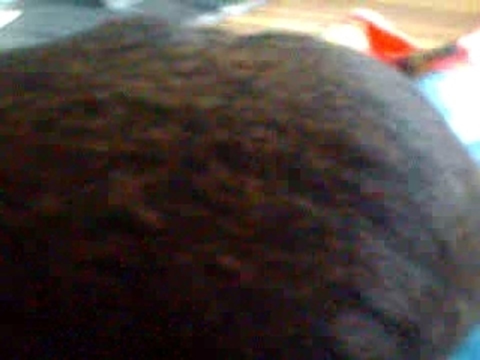 Choco en train de manger