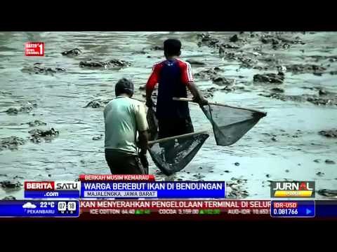 Tradisi Mencari Ikan di Bendungan Kering