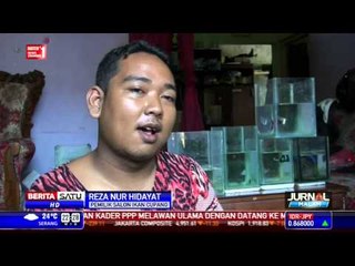 Menghias Ikan Cupang di Salon Khusus