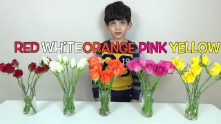 Learn Numbers and Colors with Flowers for Children, Toddlers and Babies   BAD KID Destroys Flowers