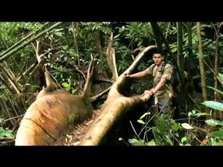 Teaser for "Oras Na!" GMA-7's new environmental docu hosted by Richard Gutierrez