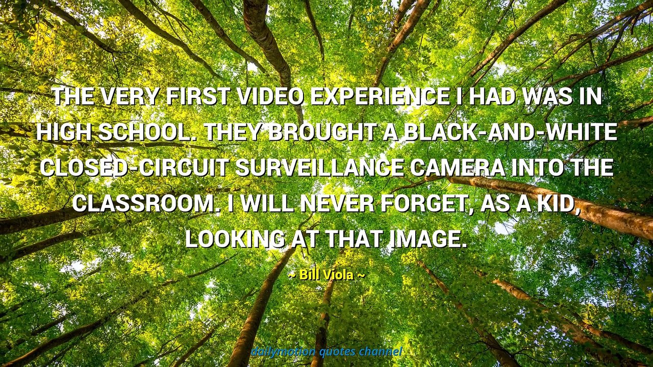 Bill Viola Quotes #2