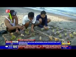 Pemuda Nelayan Banyuwangi Tanam Terumbu Karang
